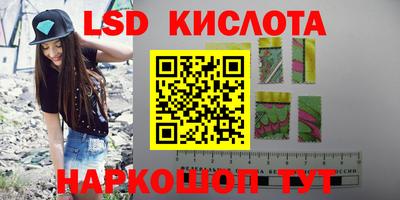 СК Кандалакша