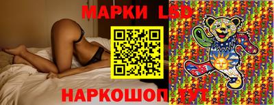СК Кандалакша