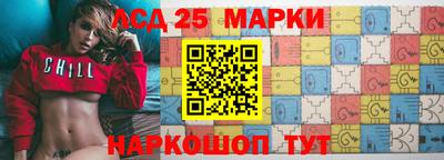 СК Кандалакша
