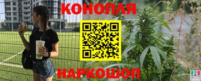марихуана Камышлов